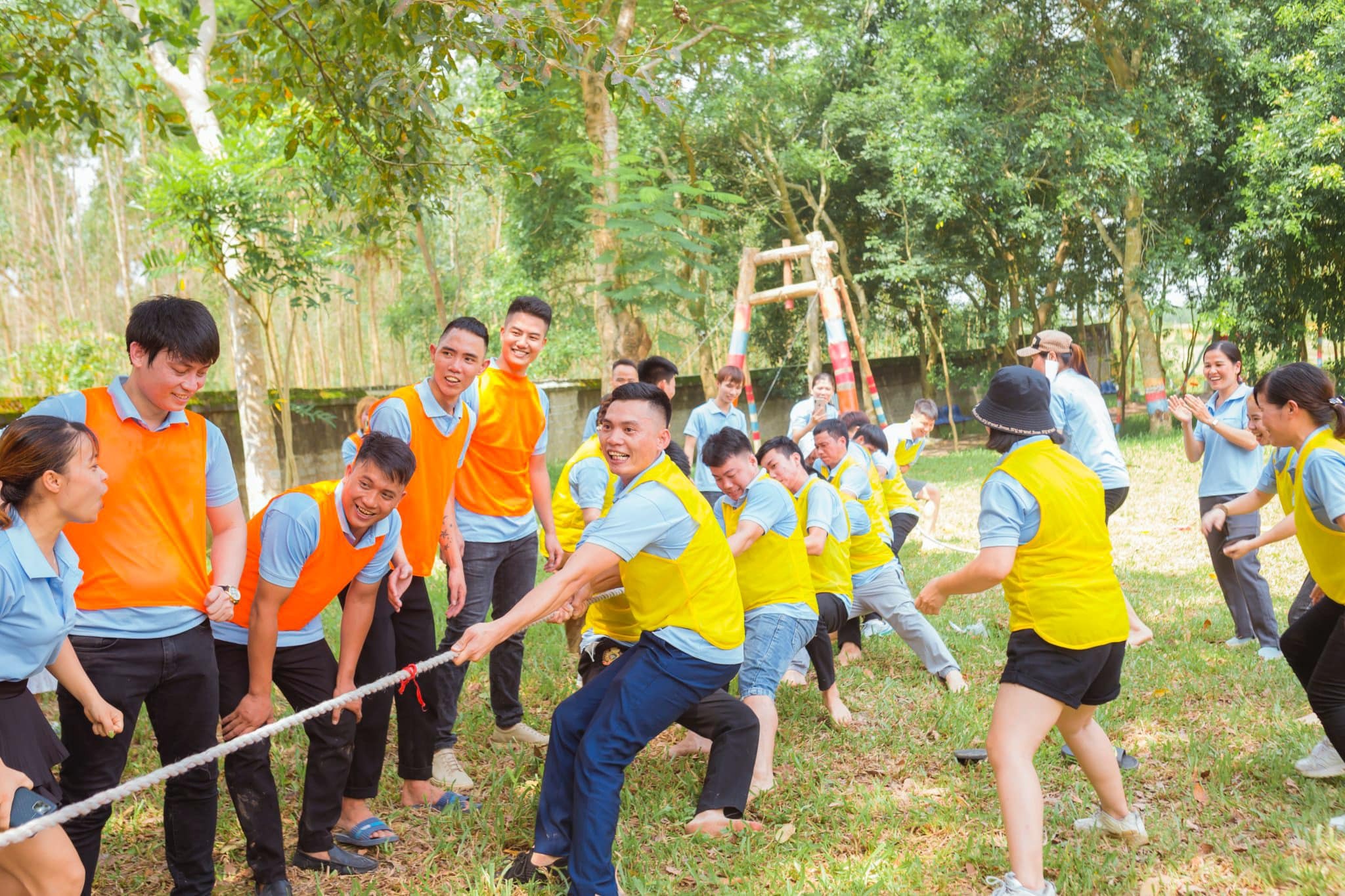 TeamBuilding-tai-truc-an-vien-vi