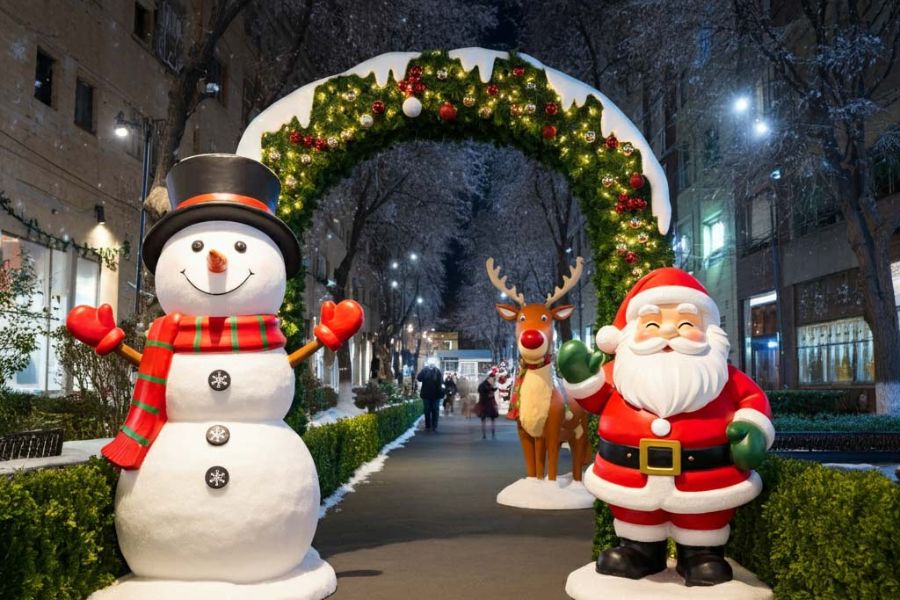 11-trang-tri-cong-noel