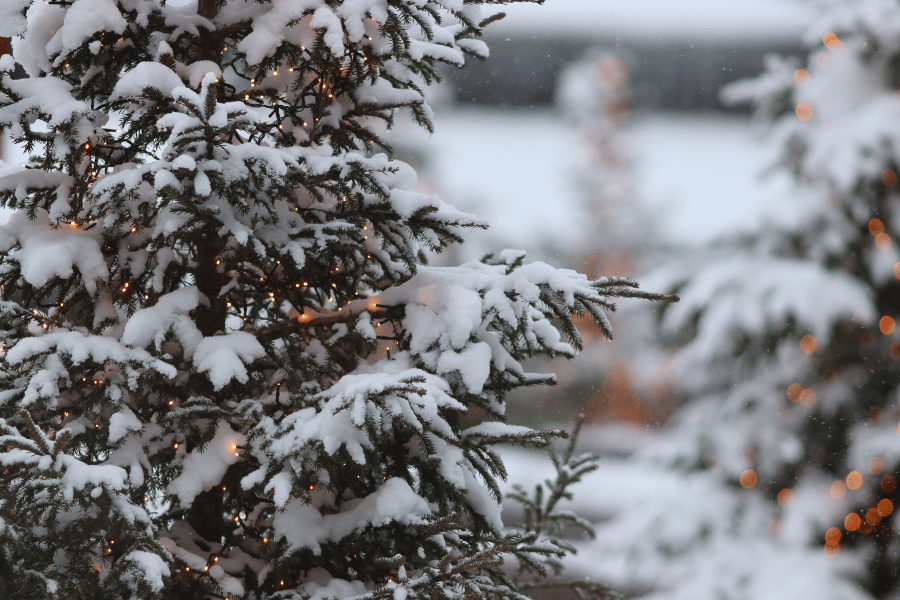 31-hinh-nen-powerpoint-giang-sinh