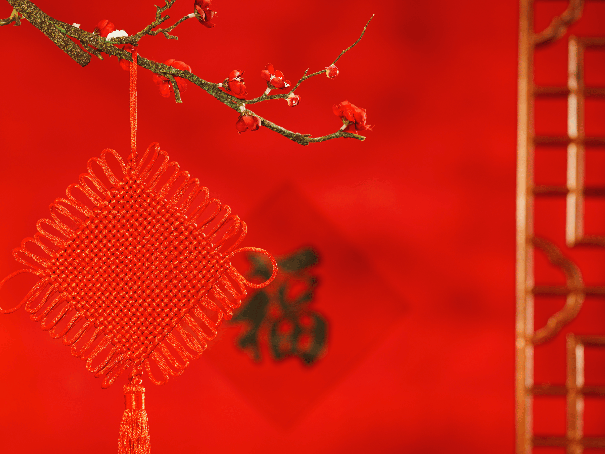 background-tat-nien-1