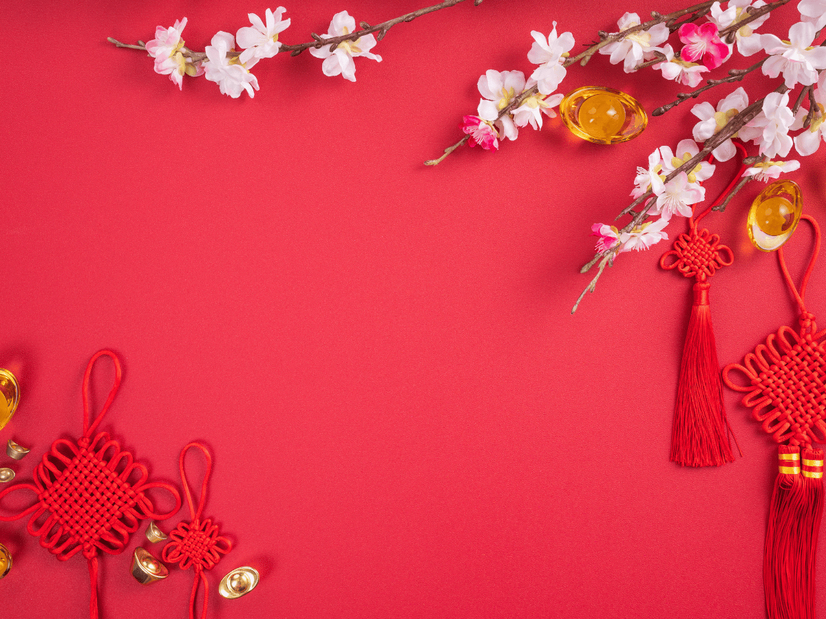 background-tat-nien-5