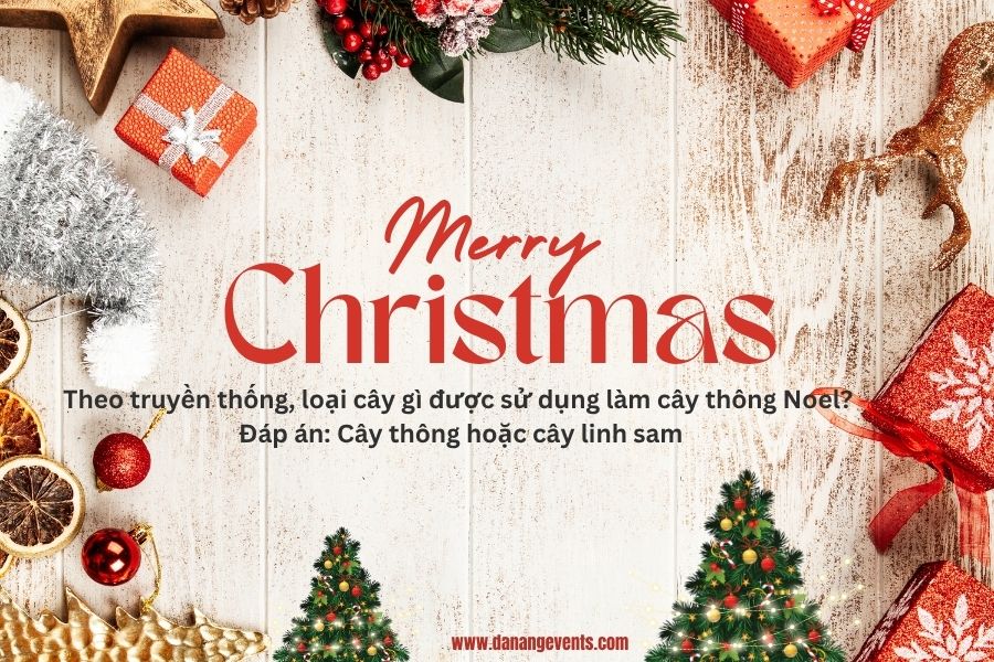 cau-hoi-ve-giang-sinh-3