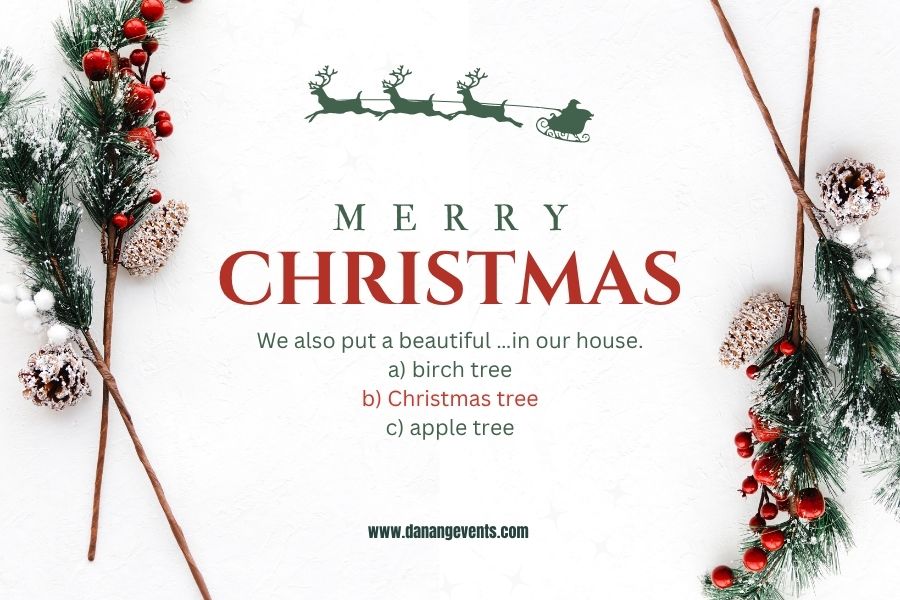 cau-hoi-ve-giang-sinh-4